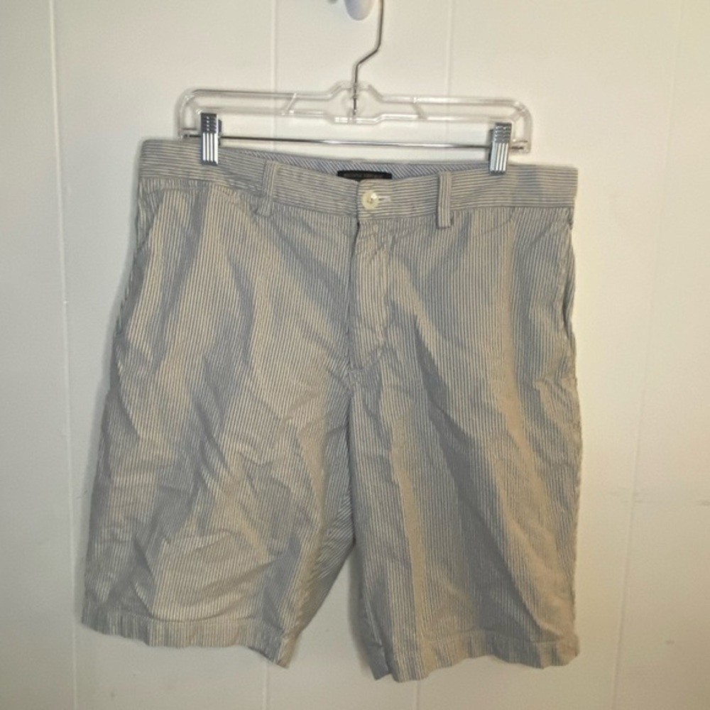 Blue and White Striped Banana Republic Emerson Shorts SIZE 34